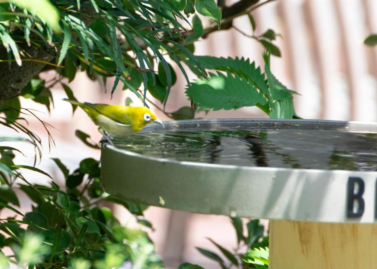Bird Hotel Kamakura Exterior photo